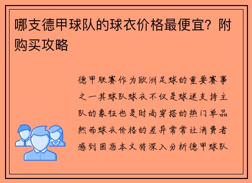 哪支德甲球队的球衣价格最便宜?附购买攻略